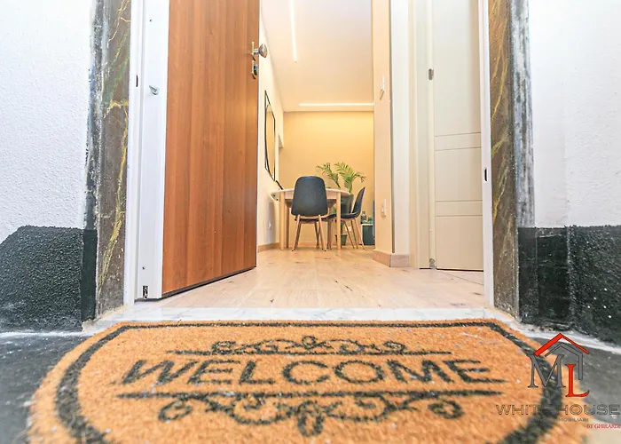 Parrot House Airport By Ml White House