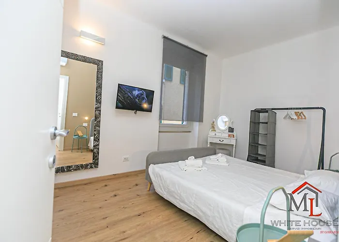 Parrot House Airport By Ml White House Appartement